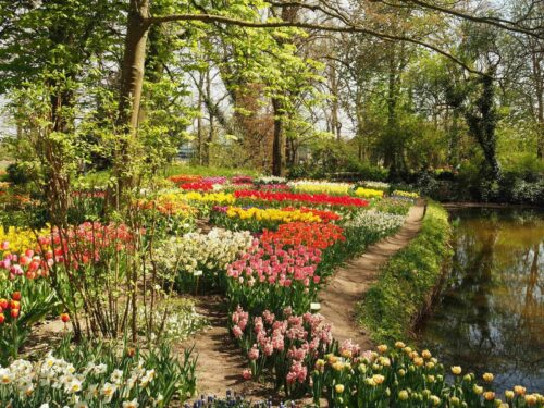Neli-Ootjers-Wind-thema-Poldertuin-1